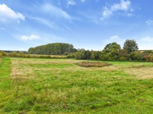 Paddock- click for photo gallery